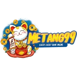 METANG99 มีตังค์99 เว็บเดิมพันออนไลน์ครบวงจร